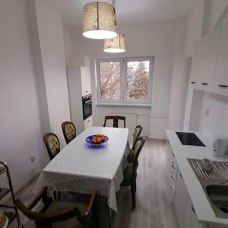 Central Appartment - Heart Of Bucharest - Sector 1 - New Renovated - Open Space Экстерьер фото