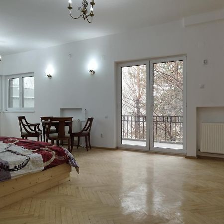 Central Appartment - Heart Of Bucharest - Sector 1 - New Renovated - Open Space Экстерьер фото