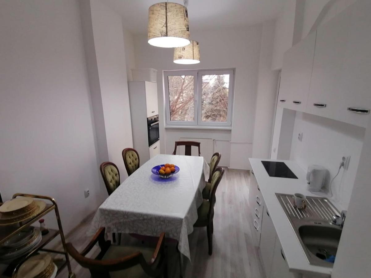 Central Appartment - Heart Of Bucharest - Sector 1 - New Renovated - Open Space Экстерьер фото