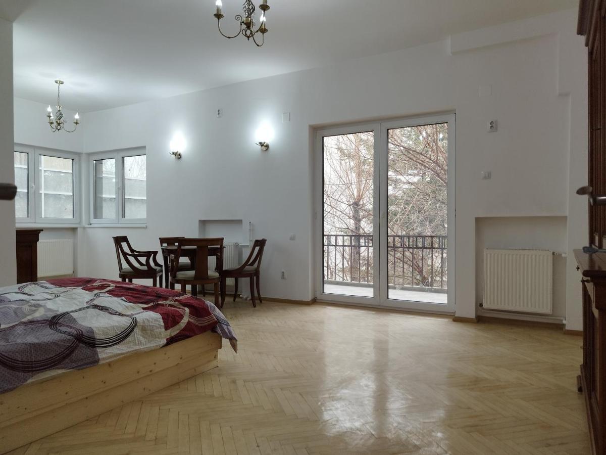 Central Appartment - Heart Of Bucharest - Sector 1 - New Renovated - Open Space Экстерьер фото
